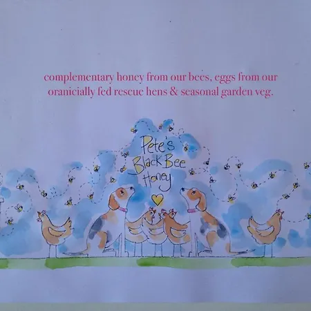 Apartman Atlantic 'crow's Nest' Schull