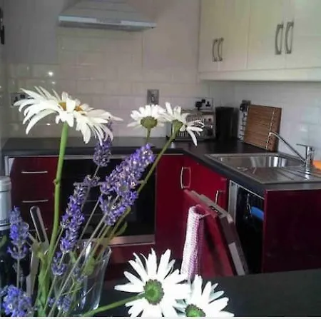 Atlantic 'crow's Nest' Apartmán Schull