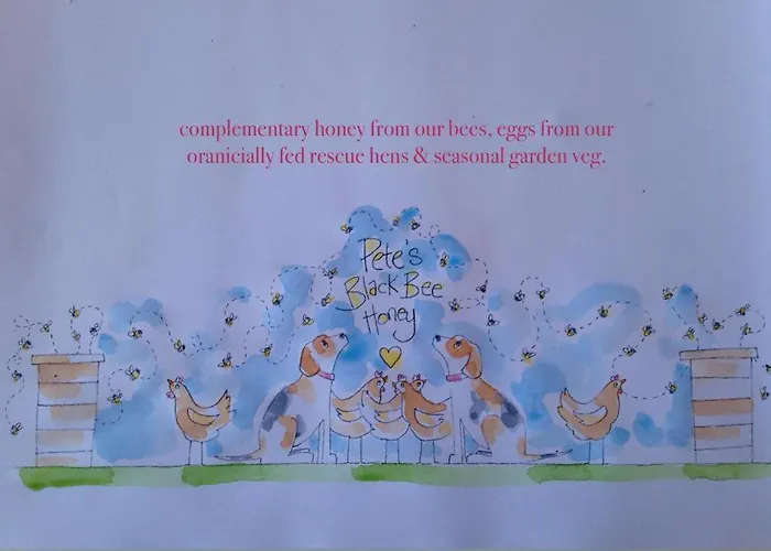 Appartamento Atlantic 'crow's Nest' Schull