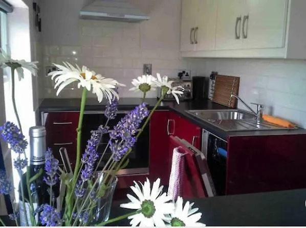 Atlantic 'crow's Nest' Appartamento Schull